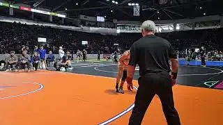 Sully 2026 GutCheck 2nd day