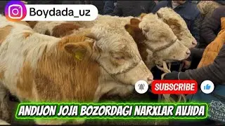 ANDIJON JO’JA MOL BOZORI ‼️❤️🤝JUDA QIZIQ BO’LDI BITTA LIKE SIZDAN @boydada_uz 