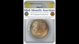 1884 O Morgan Dollar ANACS MS64