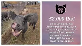 Loving Hut donates 52,000 lbs of food to Better Piggies