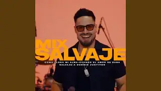 Mix Salvaje