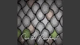 Save the Rainforest