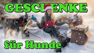 Weihnachtsgeschenke f&uuml;r Hunde: 3 Dinge, die dein Hund WIRKLICH mag (Hundebesitzer aufgepasst) 😁👍