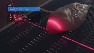 Intelligent Portion Cutter Poultry - PORTIO 1A