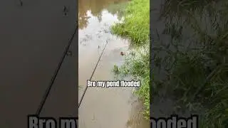 Whyyyyyyyyyy