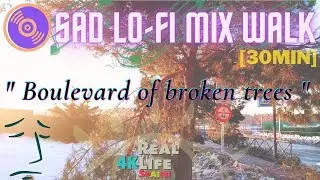 【4K + MUSIC】 SAD LoFi MIX WALK : 