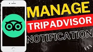 How to Manage Tripadvisor Push Notifications on Android