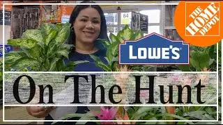 Lowes+Home Depot Shopping #plants #shopping #lowes #homedepot #new #houseplant #finds #share #withme