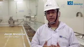 Capítulo 13: Paita