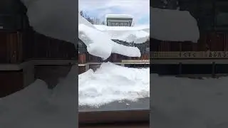 Winter time🥶 #shorts #viral #ineco #beautiful #winter #time #snow #ice #best #incredible #top