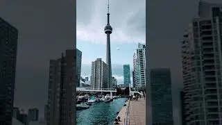 #Canada #Toronto #music #water #lake #boat #fish #people#CN tower # buildings #Harbourfron#Ontario