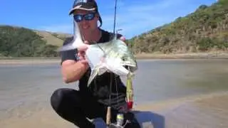 Halco C-Gar lure tested by Fishing EC