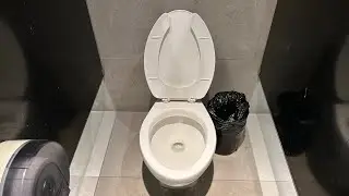 355. RARE 2000s American Standard Cadet Toilet on Flushometer at Museo de Historia Mexicana.