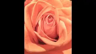 Love Story by Taylor Swift (piano)