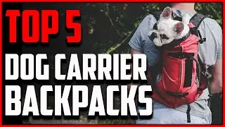 Top 5: Best Dog Carrier Backpack 2021