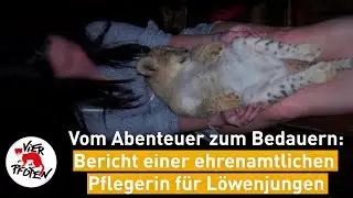 Vom Abenteuer zum Bedauern | VIER PFOTEN