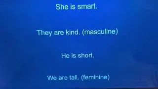 Week 16- Sentences with ADJECTIVES