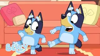 Dwa Bluey'e są lepsze niż jeden! 💙🧡 | MiniBlue | Blue - oficjalny polski kanał