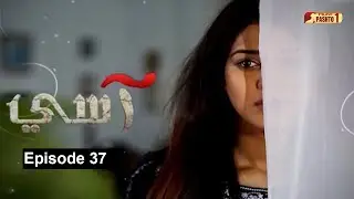 Aasi | Episode 37 | Pashto Drama Serial |  HUM Pashto 1