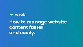 How to manage website content faster and easily (improve your productivity)