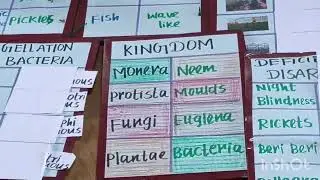 Biological science teaching aids❇️