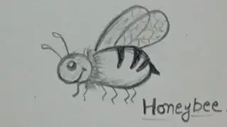 Beautiful honeybee🐝sketch#honeybee drawing#honeybee sketch#honeybee easy sketch#ytvideo#artslibrary