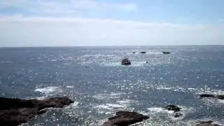 Cornwall - Lizard Lifeboat Day