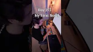 Writing My First Novel - Day 273