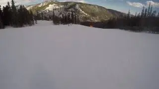 Nederland, CO 2017