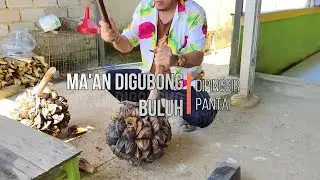 MA'AN DIGUBONG BULUH, DIPINGGIR PANTAI - GURU BESAR OFICIAL VIDEO