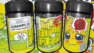 The Ten Co | Совершенно новый альбом &ldquo;AME GUMI FIZZ&rdquo; (Yellow Zushi x Zozi)