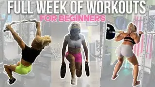 The BEST Week Of Workouts For Beginners At The Gym
