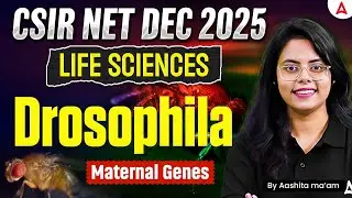 CSIR NET Dec 2025 | CSIR NET Life Science Drosophila Maternal Genes By Aashita Ma'am