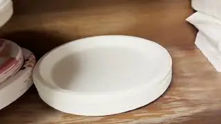 These Plates Are Made From Sugar Cane? Testing ECOLipak's Bold Claims About Strength