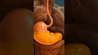 Health Tips, Medical Shorts|Motivation, Daily Facts, Knowledge| Medical tips & awareness