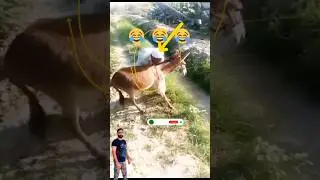 #Enter#tainment #video