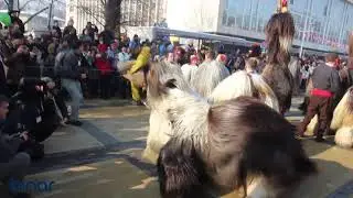 Бабугери на „Сурва“ 2018 в Перник