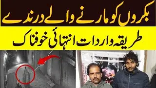 Dead Animal Meat Seller Gang | How They Get Caught & Their Crime Tectics@XReporter