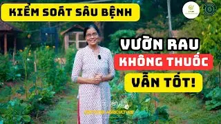 Bí Quyết Trồng Xen Canh Nhiều Loại Rau: Hết Sâu Bệnh Nhờ Mẹo “Tự Nhiên” Này!