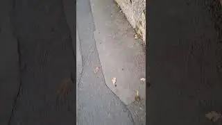 # медленная ходьба вольным стилем
