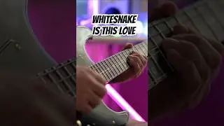 THIS is &lsquo;80s Nostalgia! #whitesnake #guitar #ytshorts #80s #80smusic #solo #stelandre #guitarist