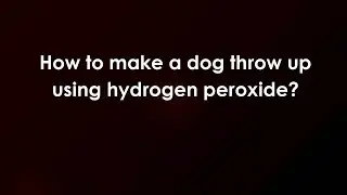 How to make a dog throw up using hydrogen peroxide?