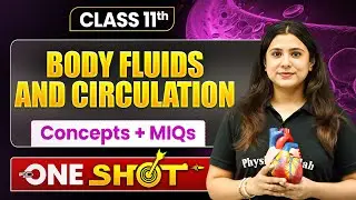 BODY FLUIDS AND CIRCULATION Full Chapter Covered | Class 11 Biology Chapter 5 | Upasana Ma'am