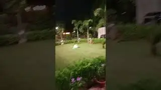 state guest house bbsr