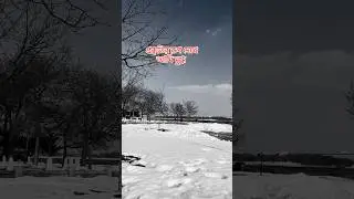প্রকৃতির রূপ দেখে আমি মুগ্ধ #amazing natur#shorts