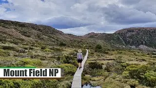 Mount Field National Park / Tasmania