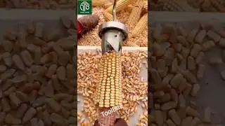 Amazing Hand-Powered Corn Thresher &ndash; Fast & Easy Kernel Removal!
