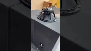 LSD 2500watt 21 inch Bass