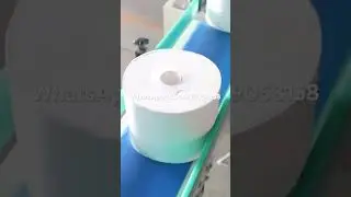 Maxi Roll Band Saw Cutting Machine