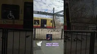 Sicherer Platz f&uuml;r V&ouml;gel am S-Bahnhof. Die Tauben fressen. Guten Morgen! #Berlin #deutschland #birds